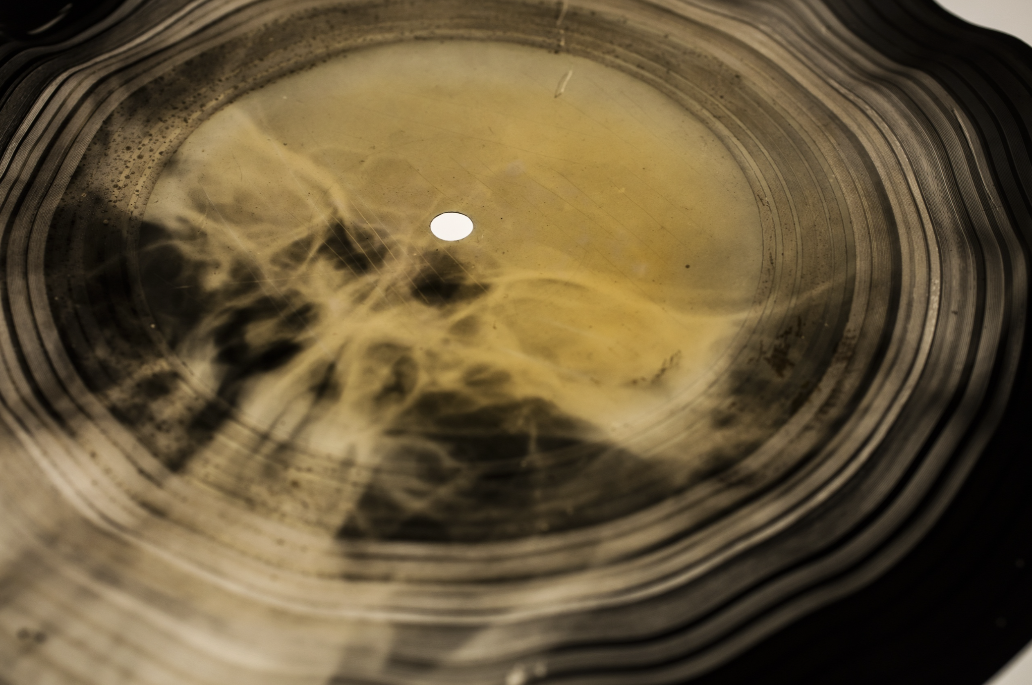 Фрагмент пластинки из коллекции X-Ray Audio на выставке в музее «Гараж»