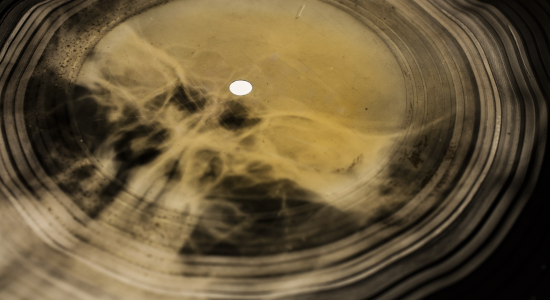 Фрагмент пластинки из коллекции X-Ray Audio на выставке в музее «Гараж»