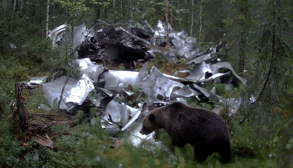 Медведь на обломках ракеты-носителя «Союз», Республика Коми, 2024 год © Поля падения