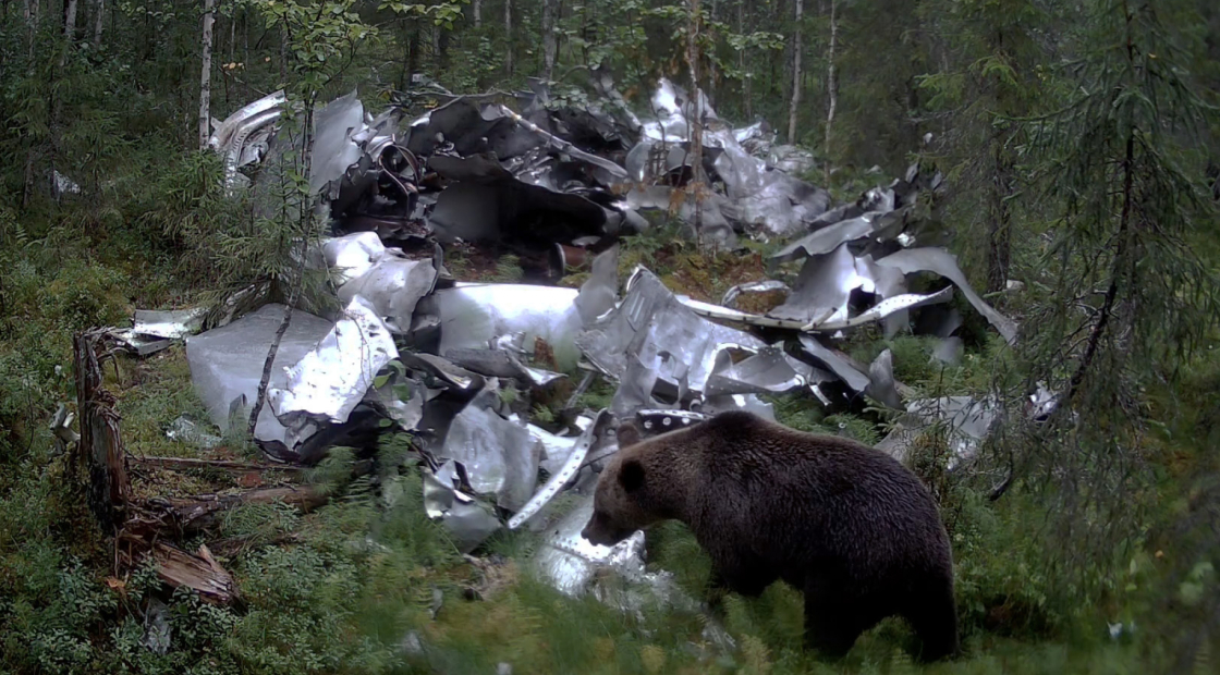 Медведь на обломках ракеты-носителя «Союз», Республика Коми, 2024 год © Поля падения