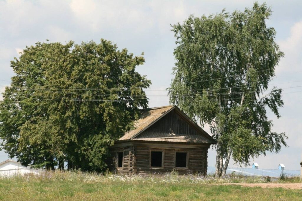 Заброшенный дом в деревне Бобья-Уча © Leonid А. / Яндекс Карты