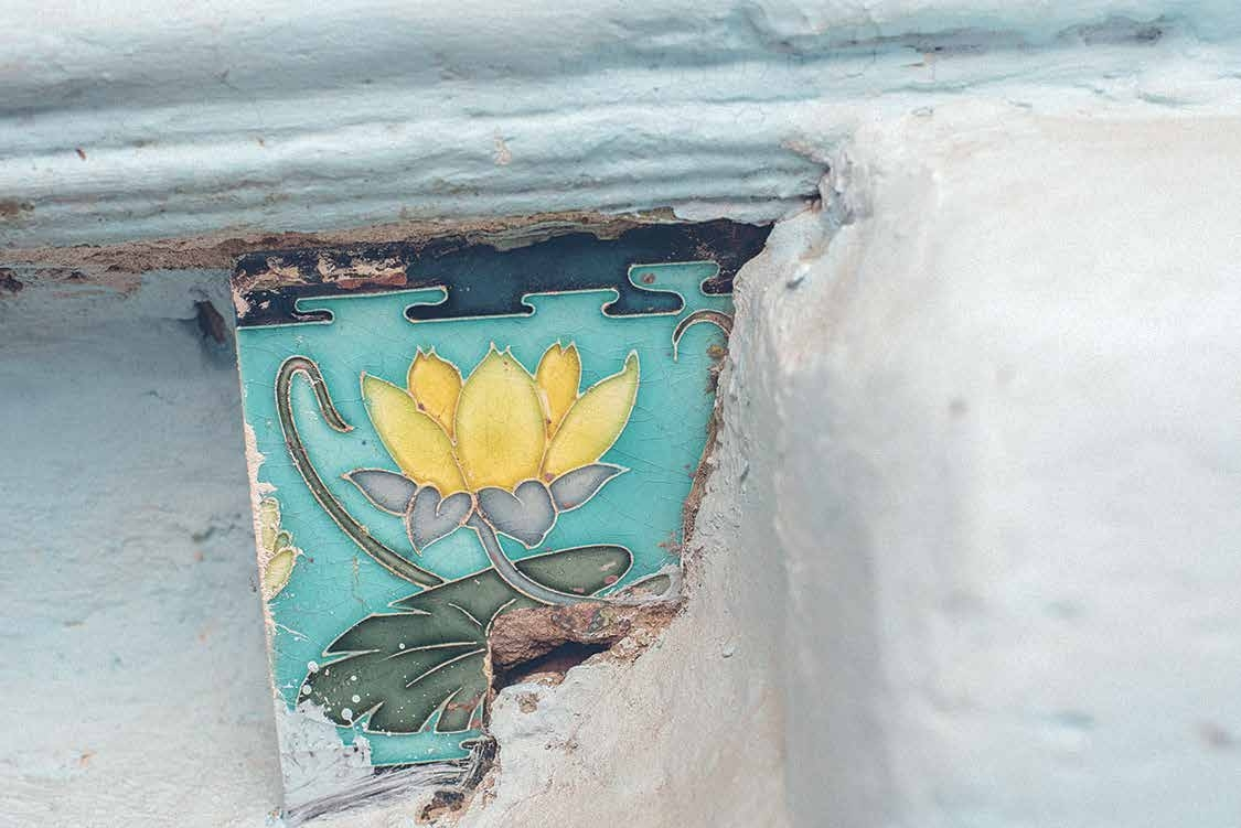 Плитка с кувшинками в подъезде доходного дома на 18-й линии В. О. в Санкт-Петербурге © Ксюша Сидорина