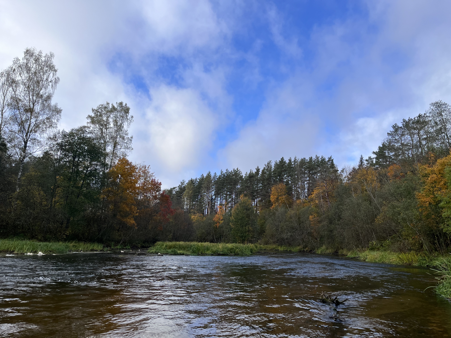Вид с острова на реке Великой © Мария Дятлова