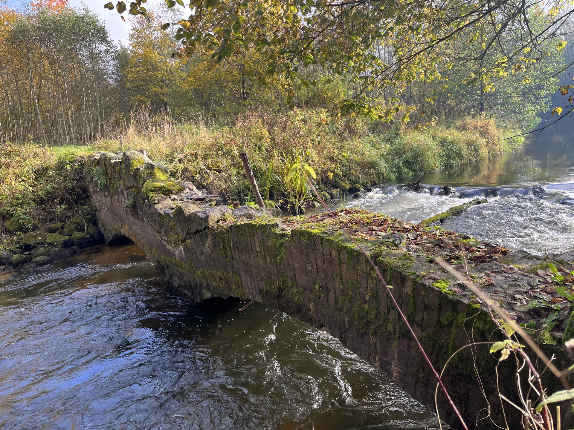 Остатки фундамента мельницы Калинка © Мария Дятлова