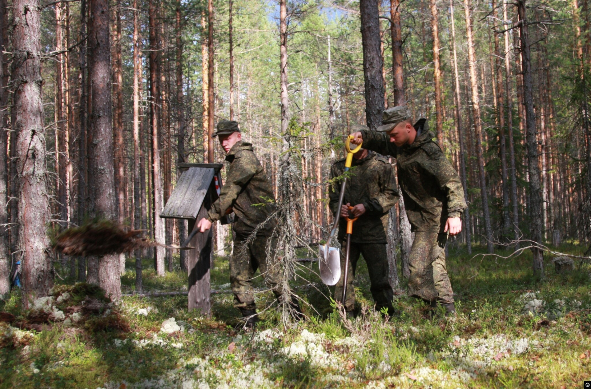 Раскопки Российского военно-исторического общества в урочище Сандармох, август 2018 года © Фонд Иофе