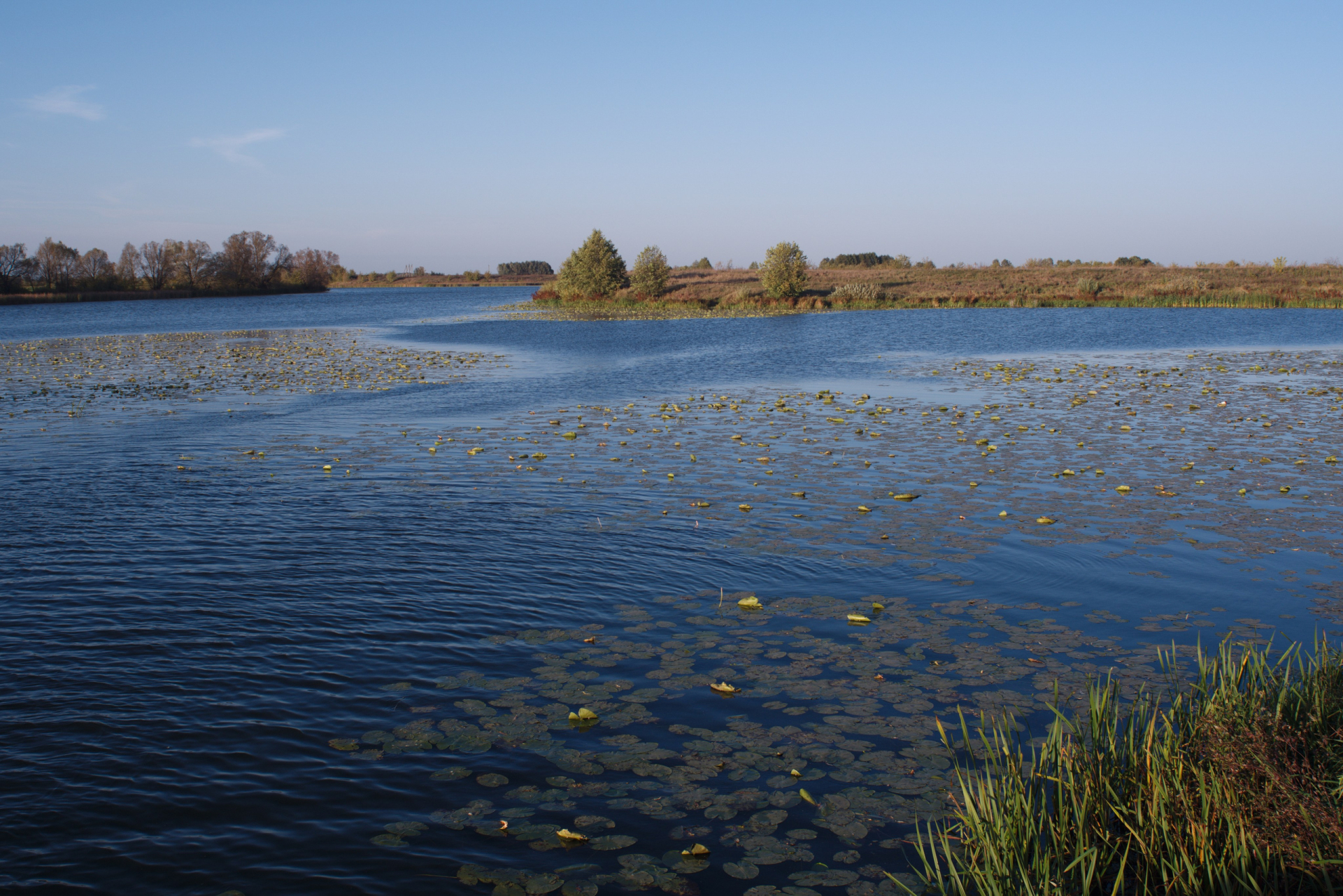 Ижевское озеро © Дмитрий Ермаков