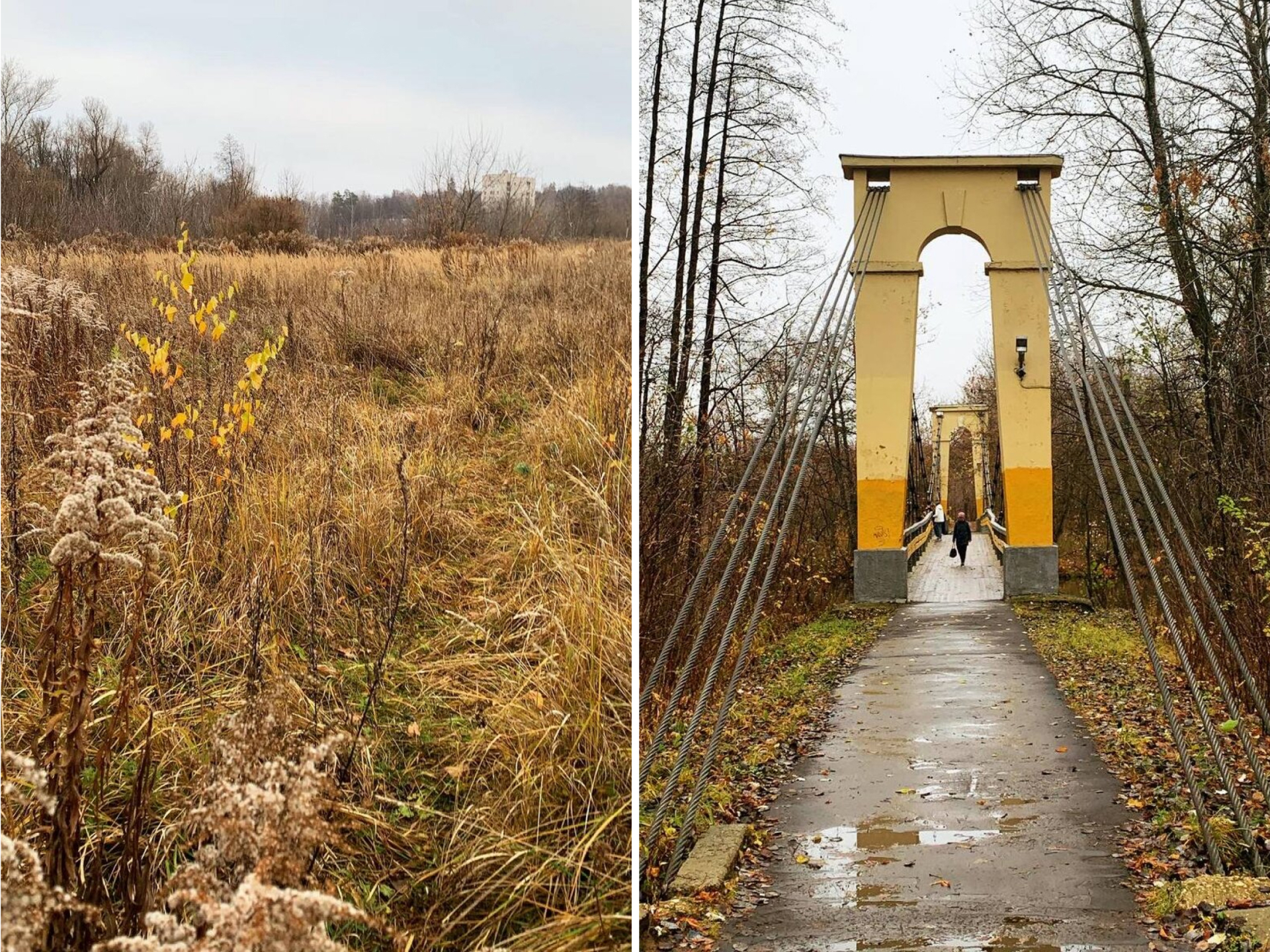 Заливной луг и висячий мостик через реку Сатис © Sarov_walks
