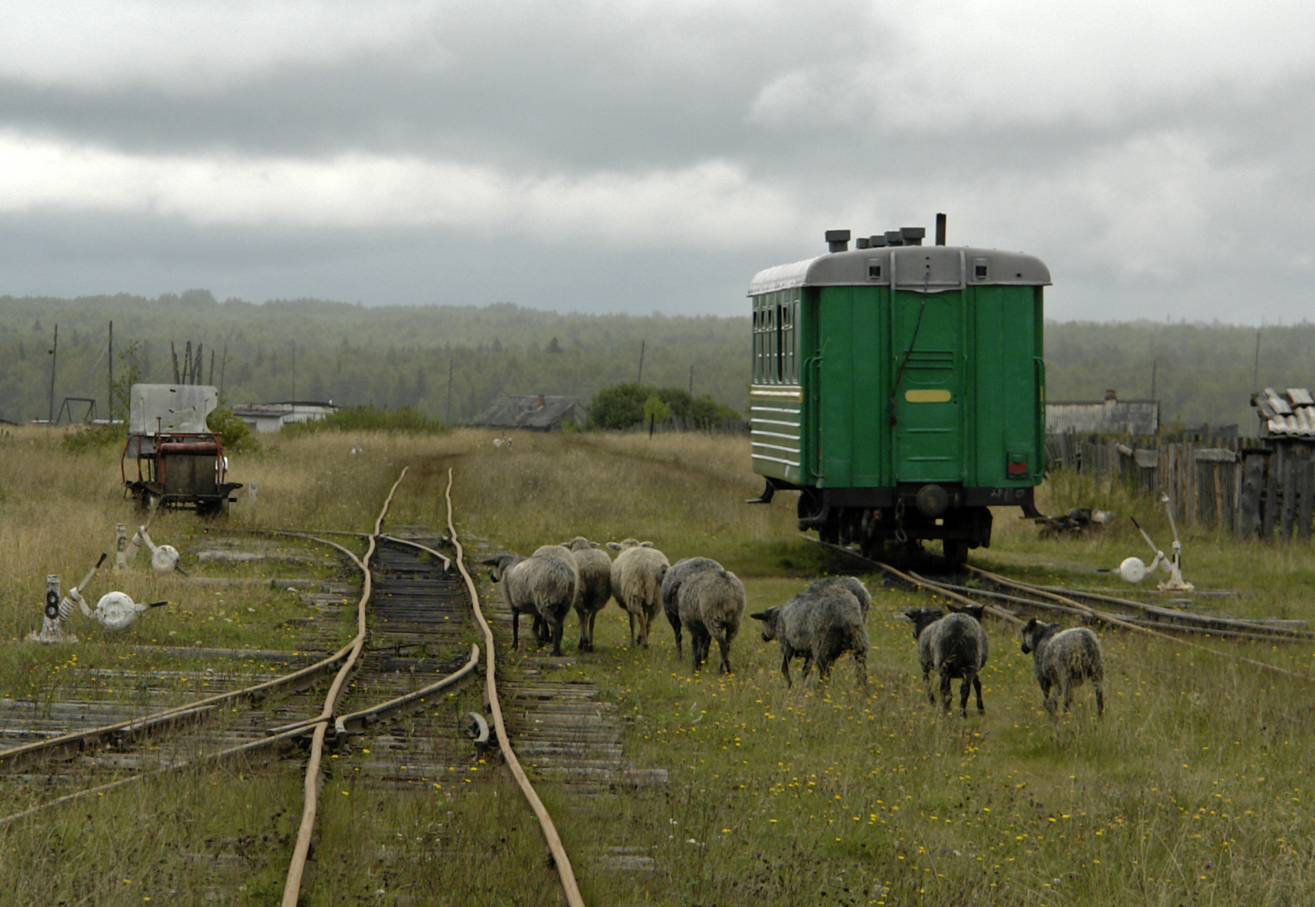 Вагон на станции Калач © Михаил Кончиц. Заповедные железные дороги. Издательство «Альпина нон-фикшн», 2026