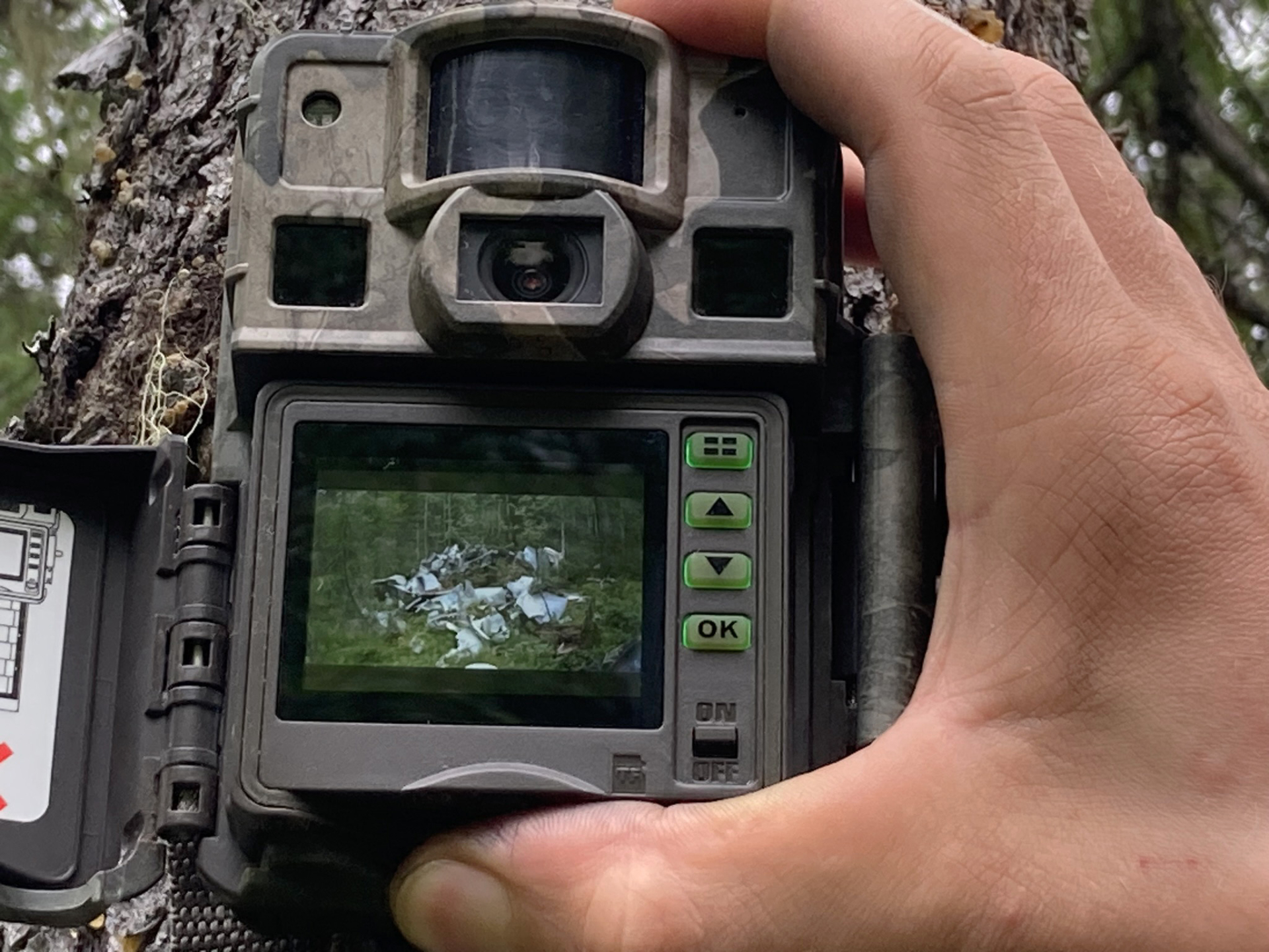 Установка фотоловушки. Республика Коми, 2024 год © Поля падения