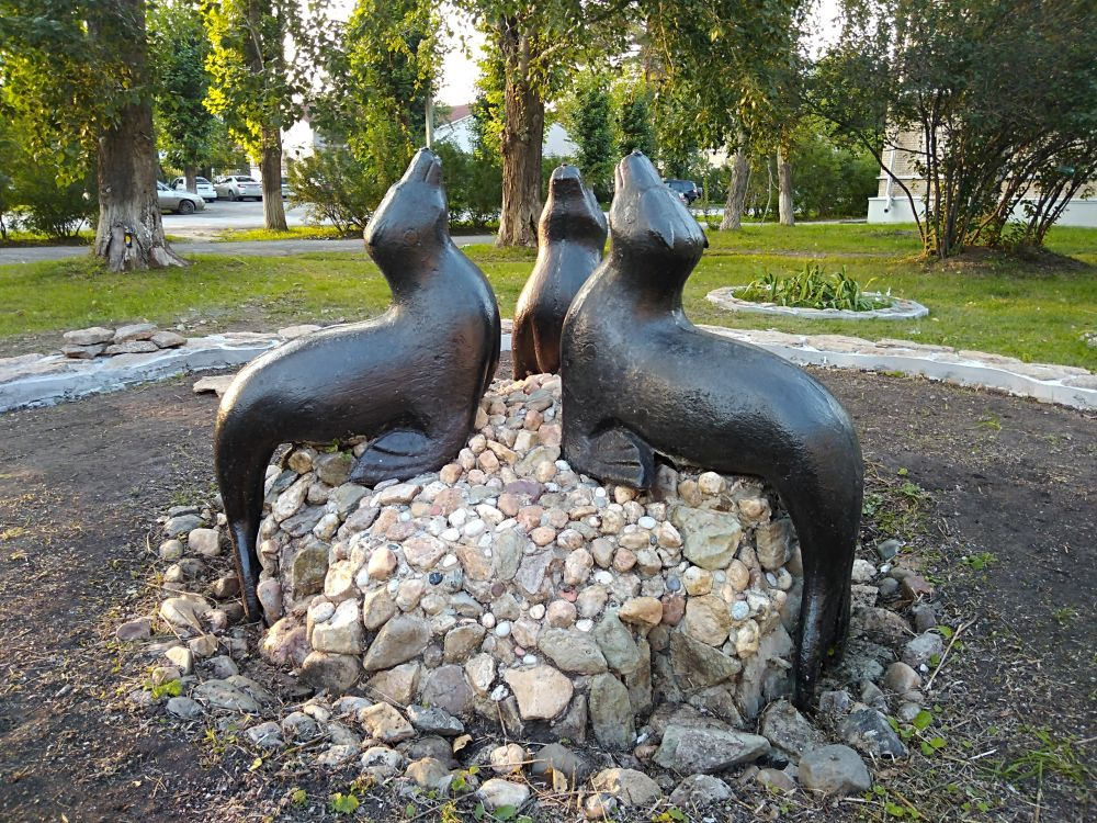 «Тюлени» в поселке Трубников после волонтерских акций © Иван Бушланов
