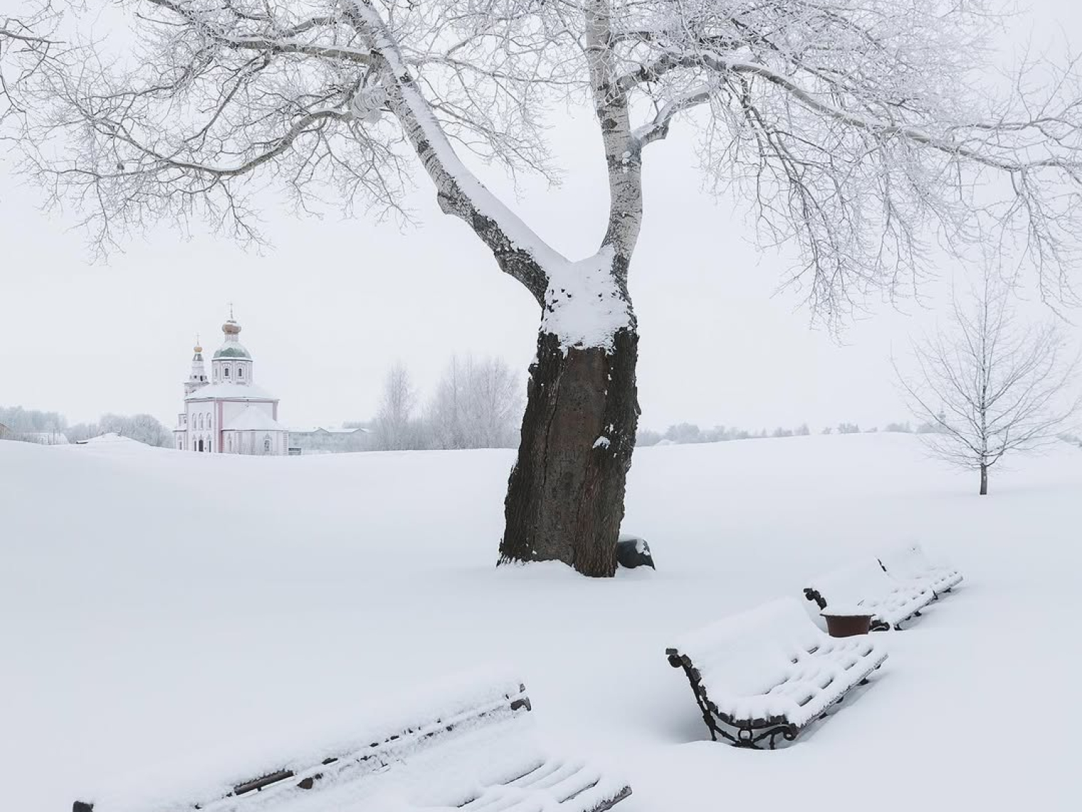 Весна, лето, осень и зима в Суздале © Андрей Белавин