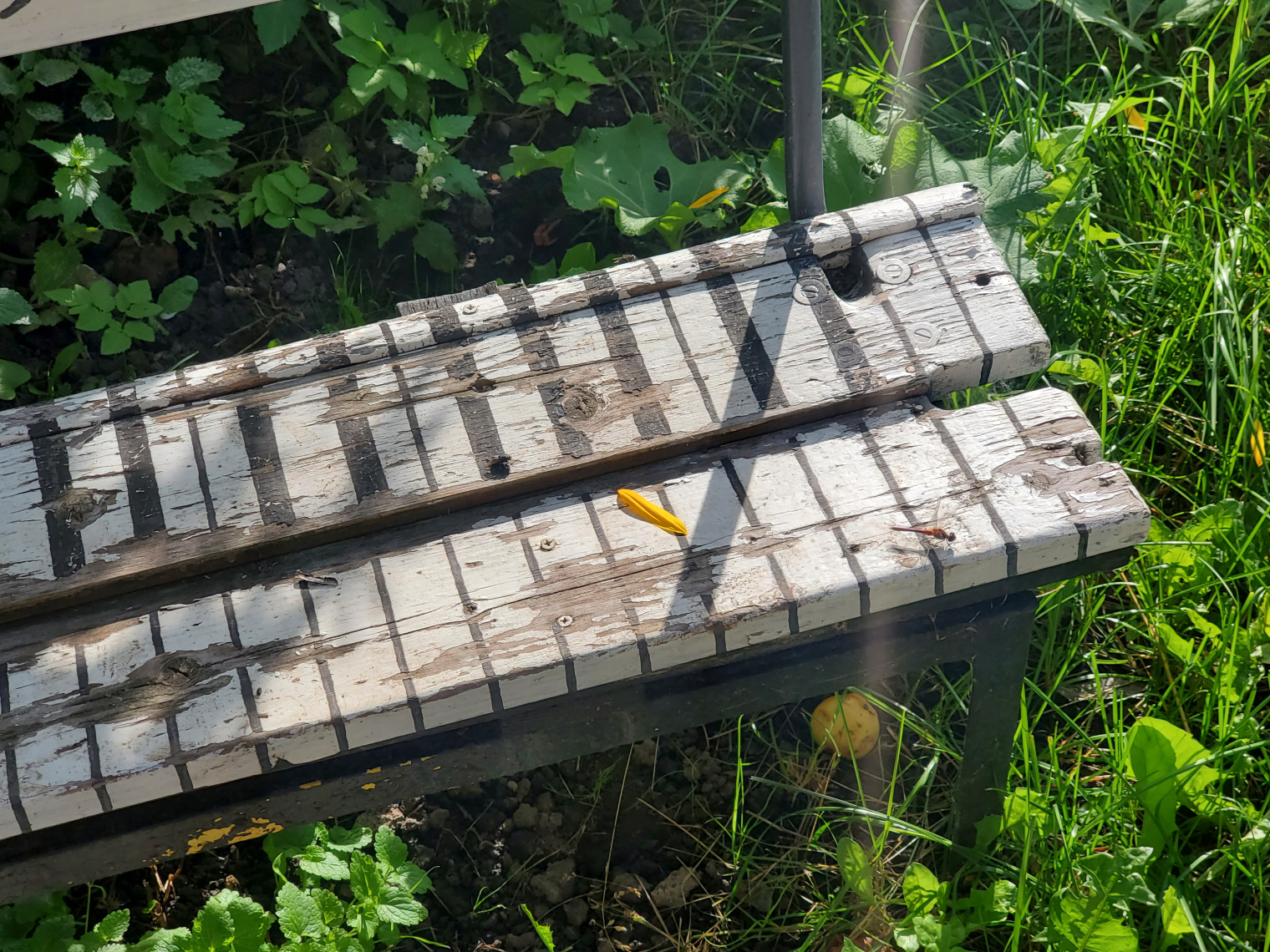 Детские площадки Великого Новгорода © Архив автора