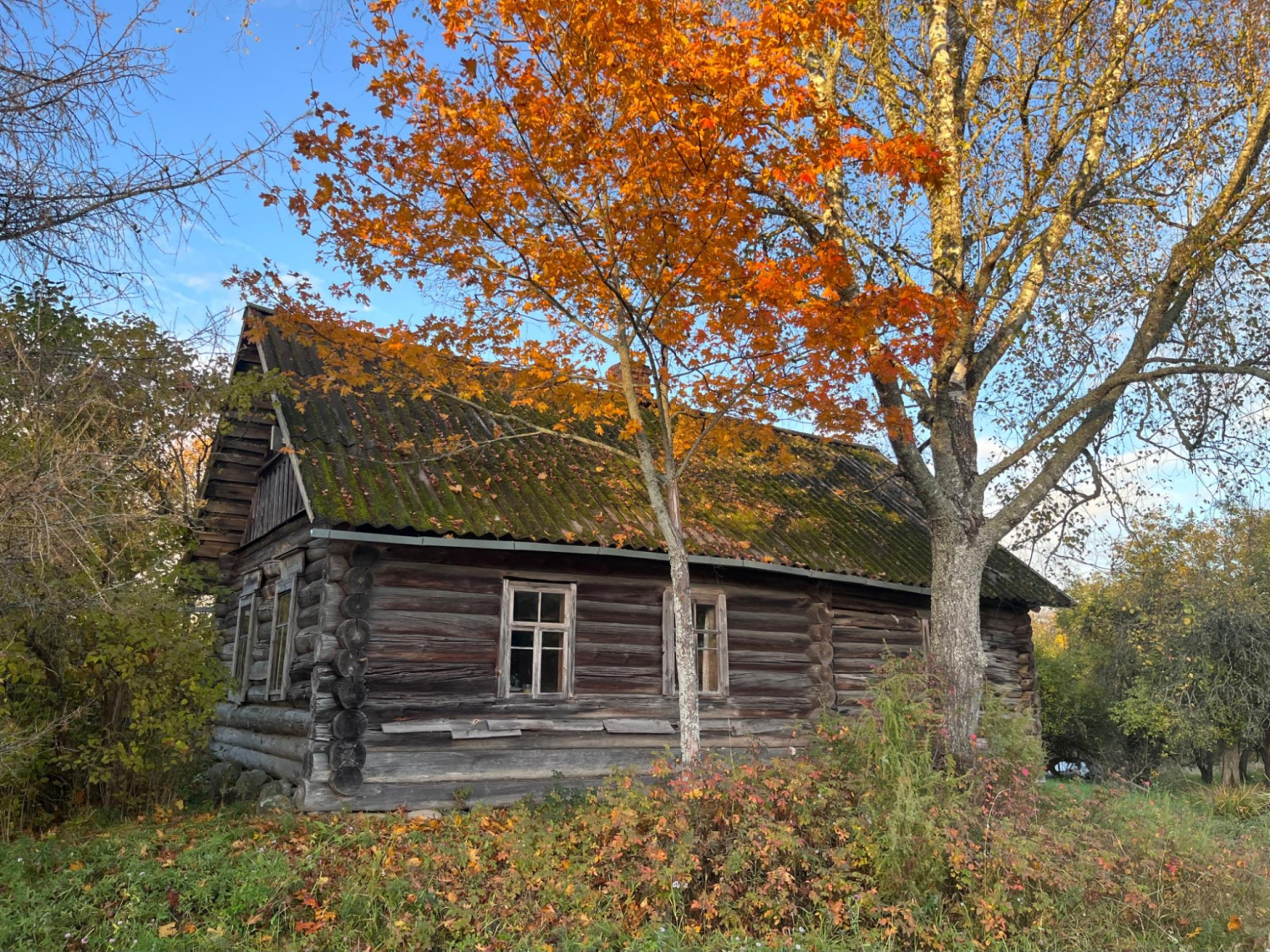 Изба Карелиных © Мария Дятлова