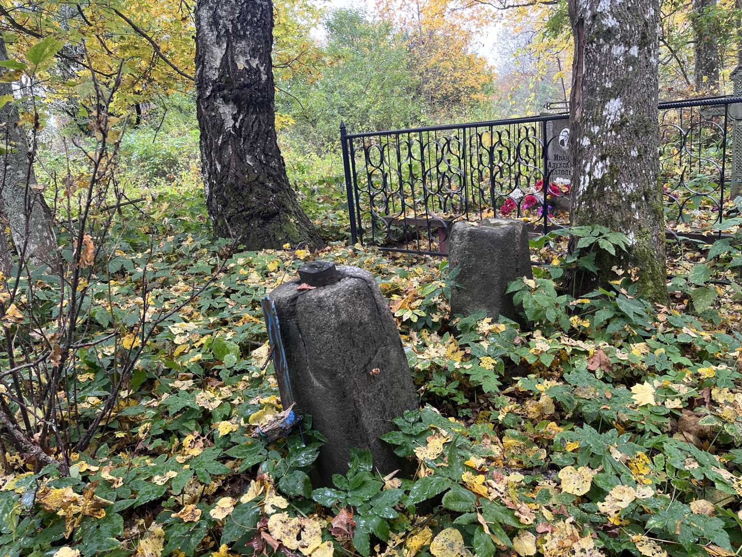 Сломанные кресты на кладбище в Черницком погосте © Мария Дятлова