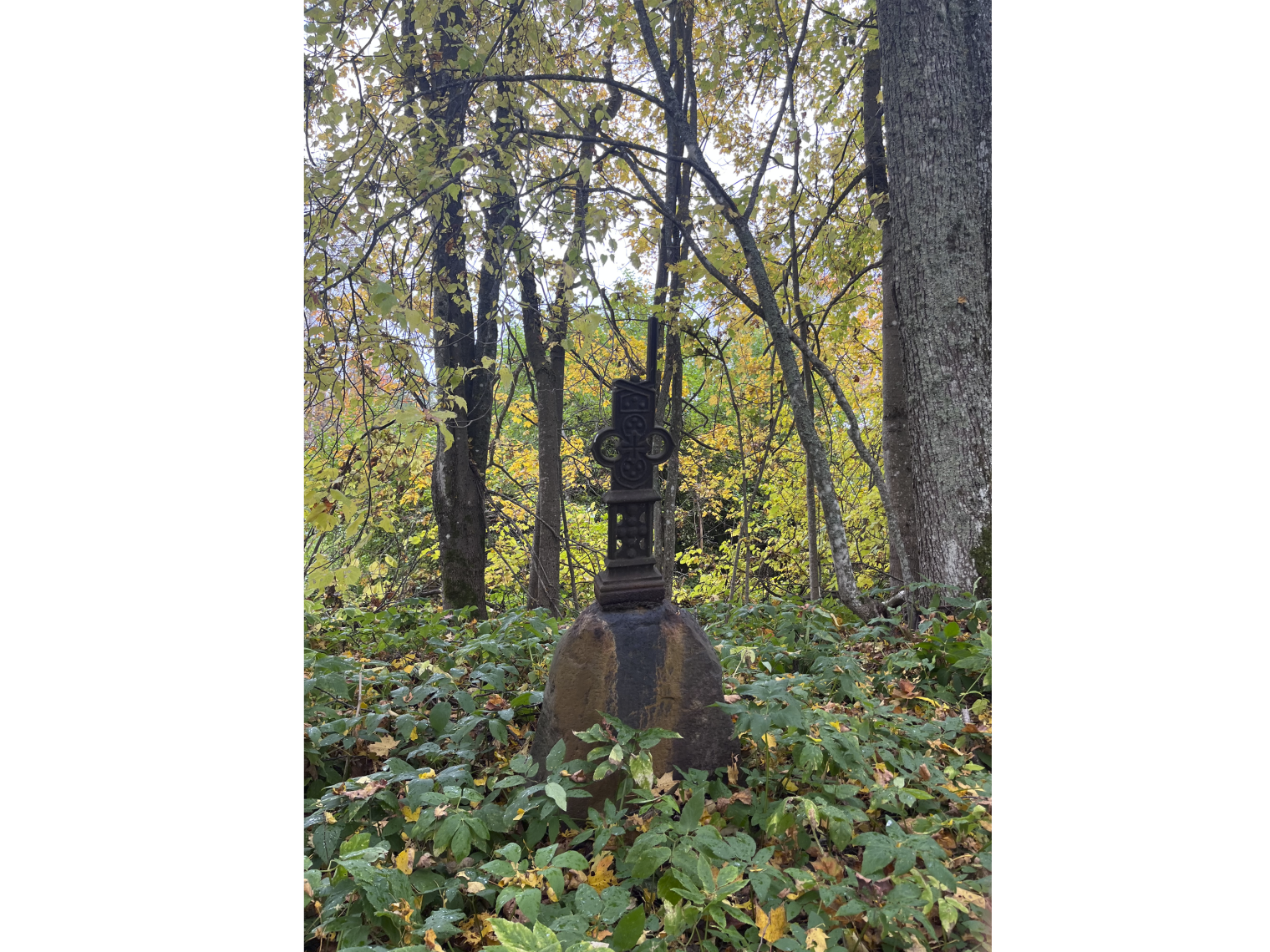 Сломанные кресты на кладбище в Черницком погосте © Мария Дятлова